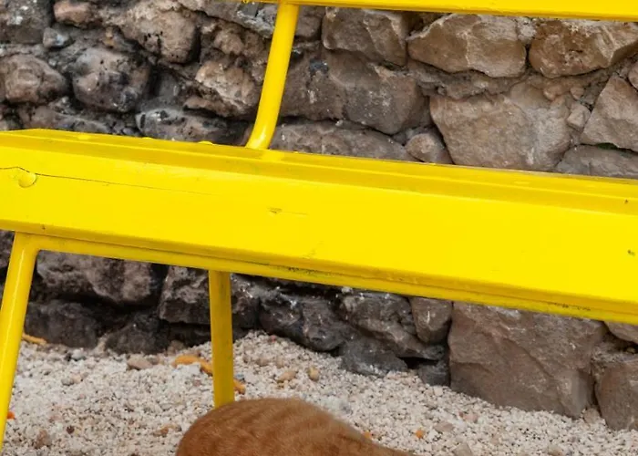 Хостел Subtub *